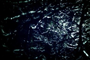 九游娱乐APP-爱尔兰男队重建期展现强劲实力，爱尔兰男子组合乐队