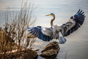 九游官网pc-中国足球职业联赛加强俱乐部青训体系建设，中国足球青训俱乐部排名