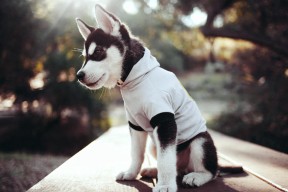 九游正版入口-激情 国足爆冷 世界杯预选赛写下新篇章，国足2022世界杯预选赛比分