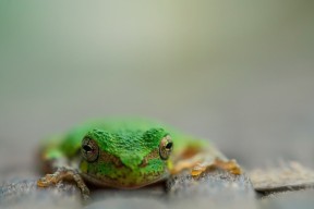 九游正版入口-中国三人篮球男队注重团队轮转 增强协同效率，中国男篮三人篮球集训名单