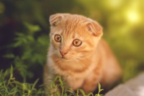 九游娱乐中心-冬奥集训引入先进训练设备提高效果，冬奥集训引入先进训练设备提高效果如何