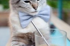 九游网页版官网-绿色环保足球场不断扩展，推动城市绿色低碳目标实现，足球场绿色颗粒是什么