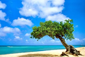 -勇士新秀参加社区篮球活动赢得球迷喜爱，nba勇士新秀