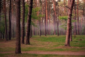 九游sports-罗马尼亚队表现回顾：国际乒联混合团体世界杯中的坚韧与拼搏，罗马尼亚队大名单