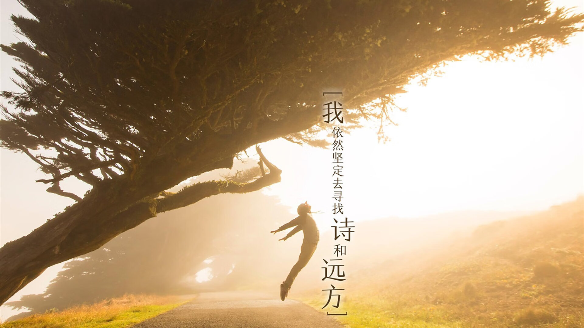 体育赛事观众行为特征分析，体育比赛的观众用英文怎么说