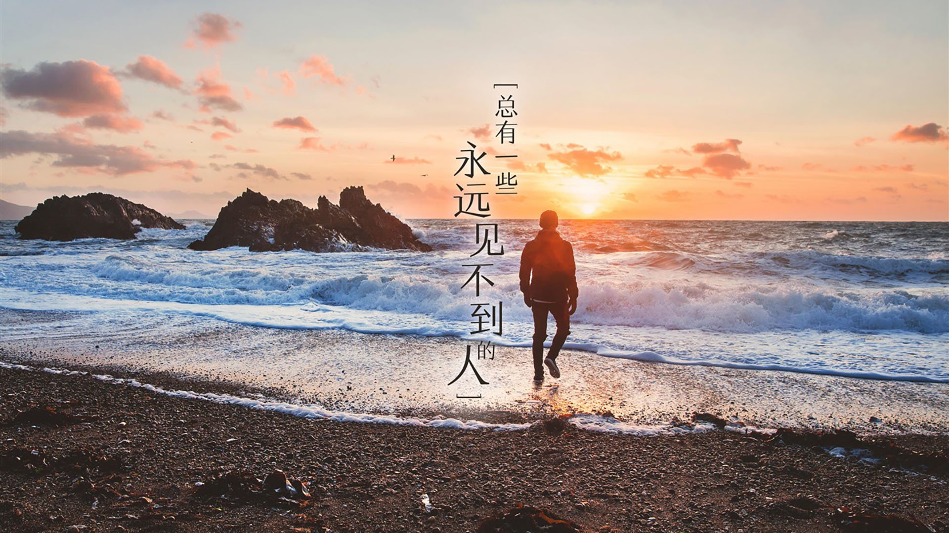 德甲教练基于实时数据反馈优化换人时机决策机制，德甲最佳教练