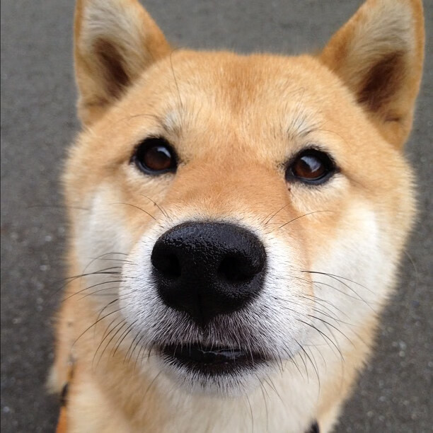 运动装备市场需求分析报告,运动用品行业分析