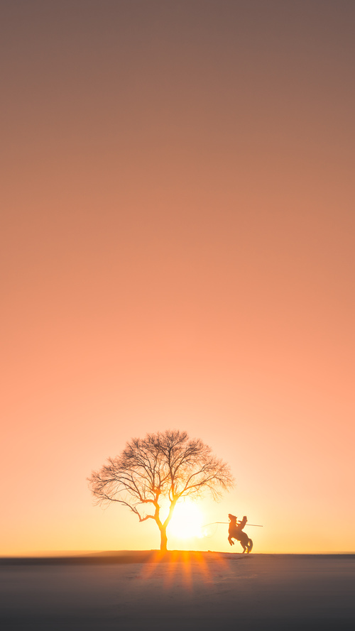 青少年体育赛事培训体系，青少年体育赛事培训体系是什么