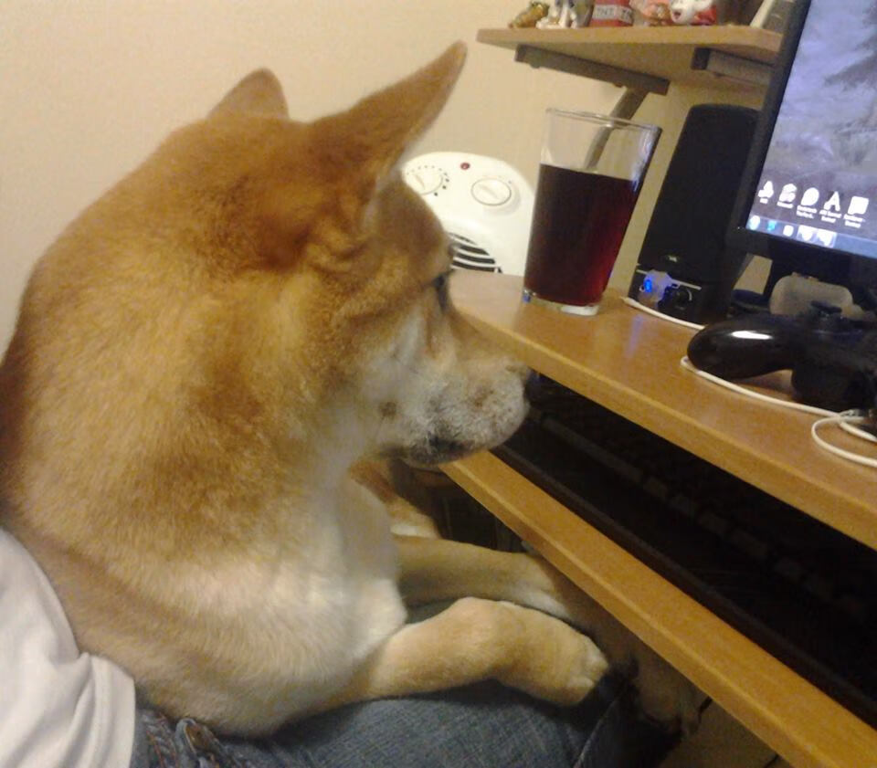 体育新闻中心发布体育行业数字版权保护白皮书,体育产业数字化创新