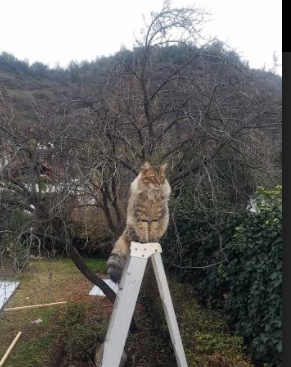 体育新闻中心推动5G技术在体育赛事直播中的应用,5g直播方案