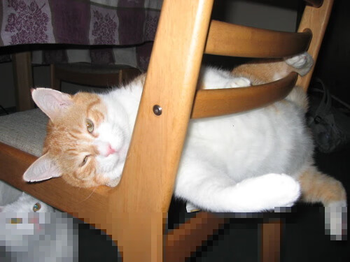 博卡将重点培养边路冲击型球员,博卡啥意思