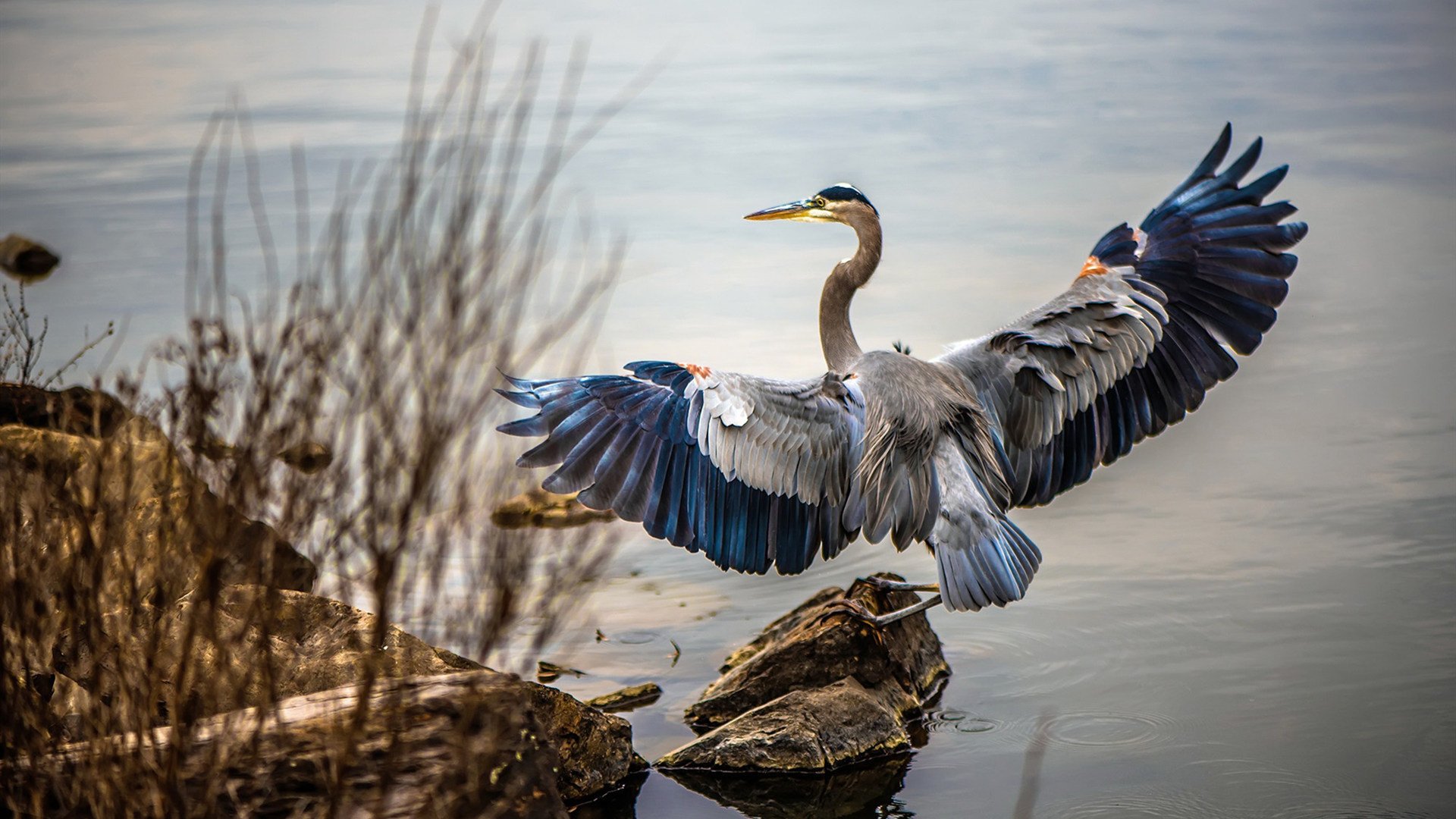 奥预赛中国青年队复仇 精彩瞬间点燃全场,中国青年奥运会