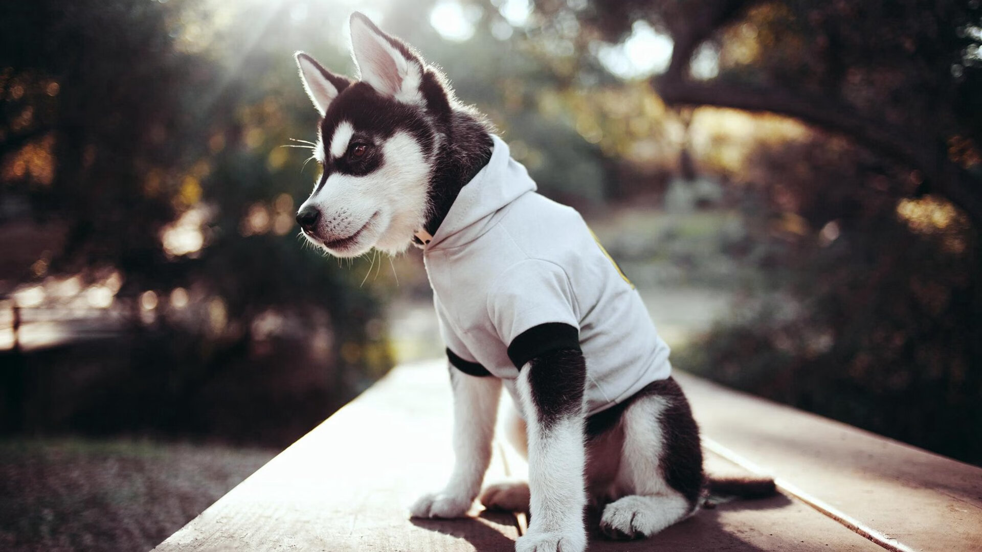 激情 国足爆冷 世界杯预选赛写下新篇章,国足2022世界杯预选赛比分