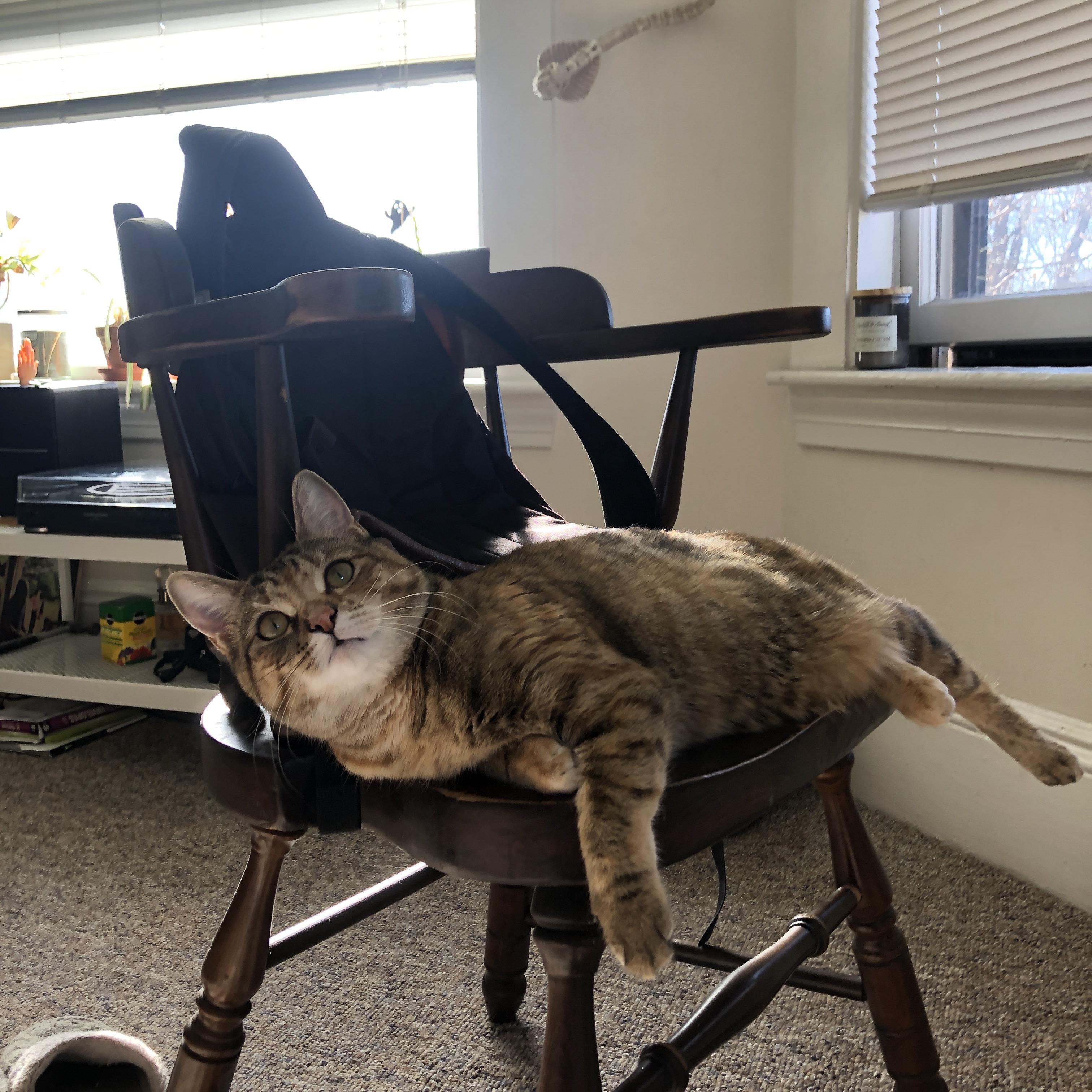 球队是否更频繁使用定位球发起非传统进攻套路,定位球战术