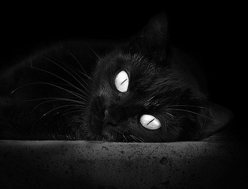 CBA球队设立内部评估体系提高训练针对性,cba组建球队