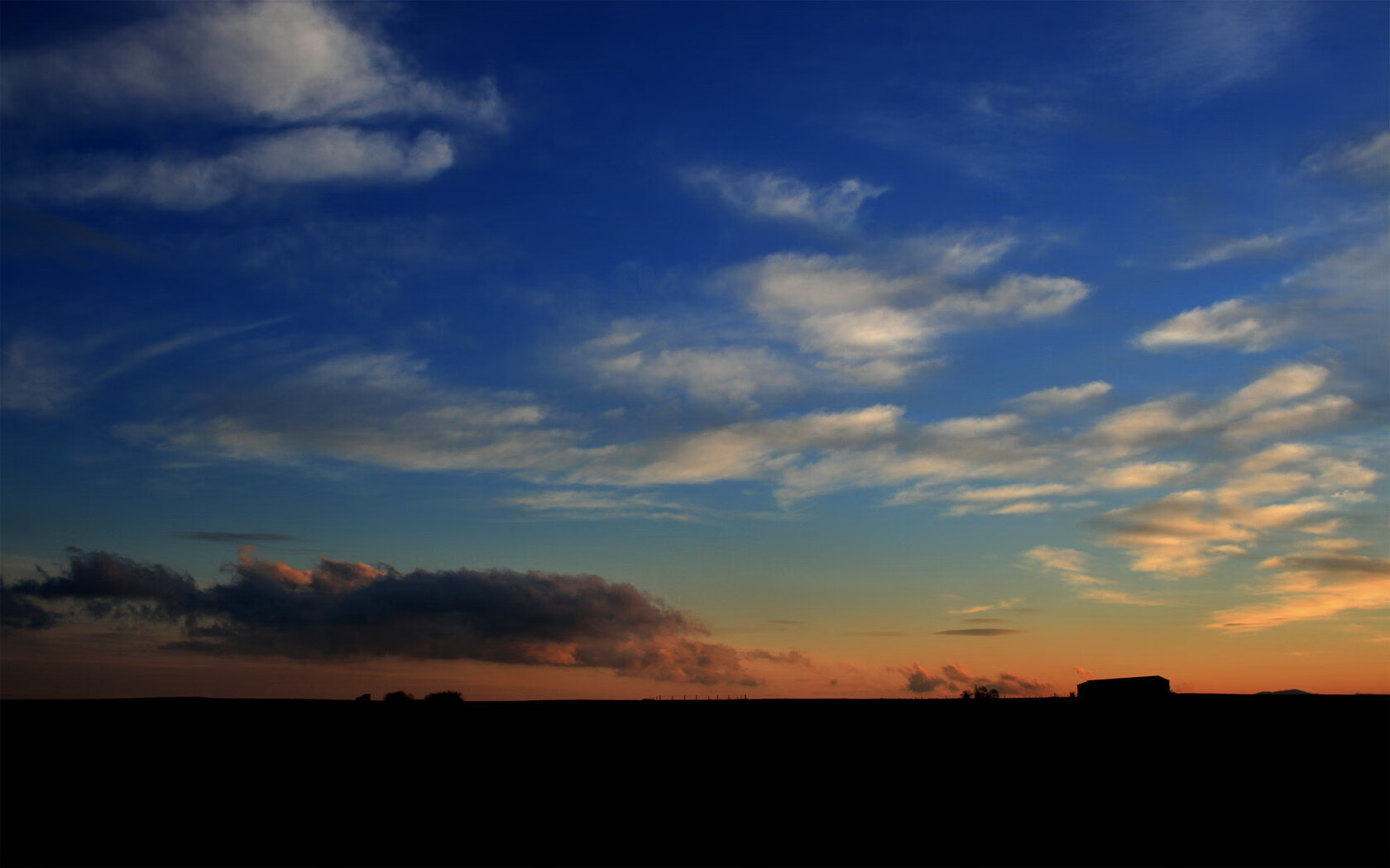 体育新闻中心逆袭冠军之路,体育夺冠新闻