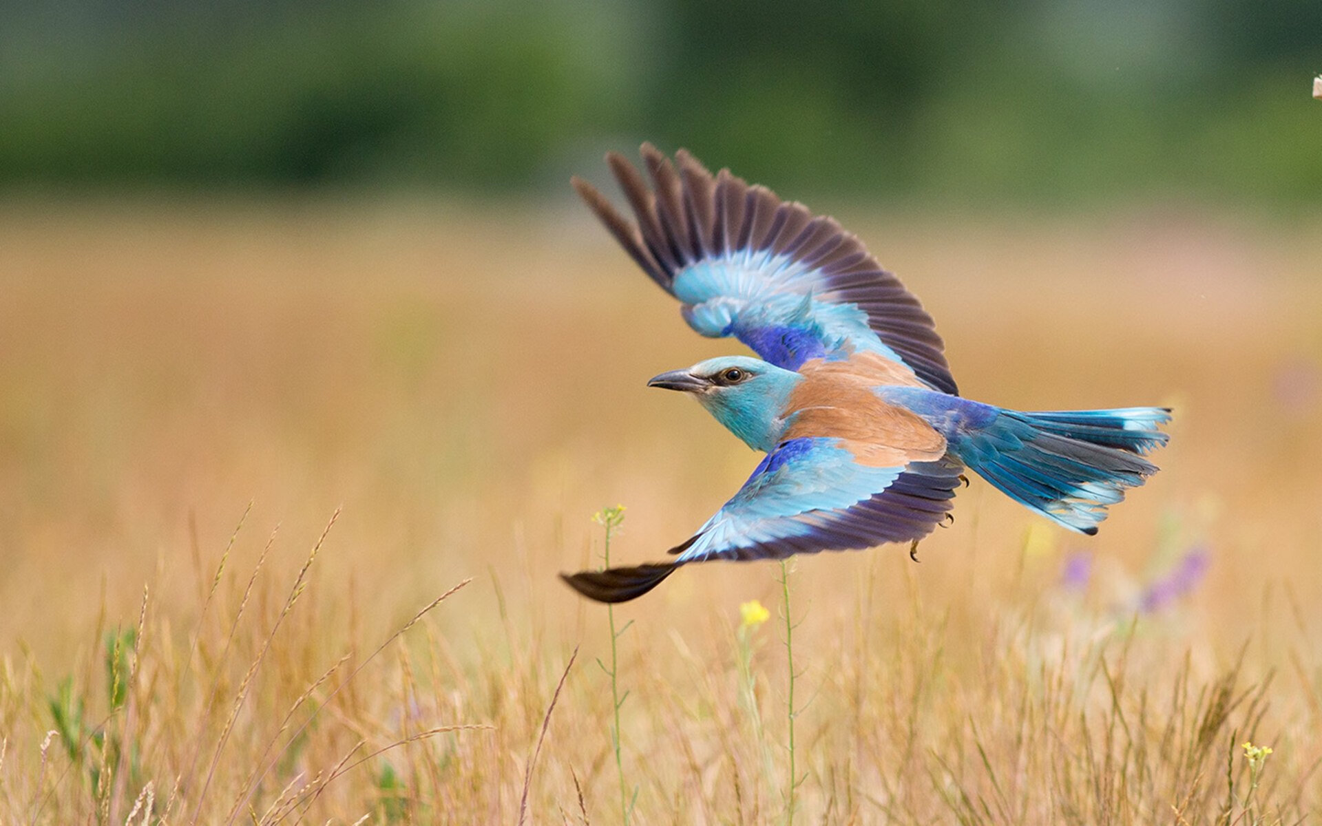 全队训练体系趋于标准化与国际接轨,全队训练体系趋于标准化与国际接轨问题