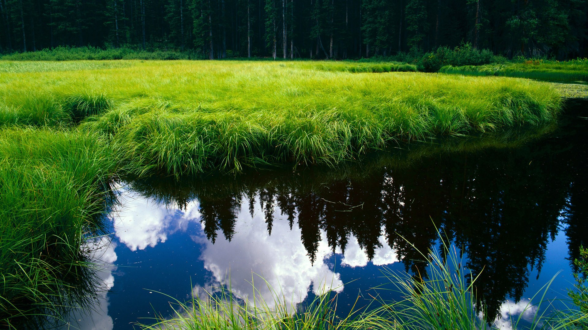 曼联主帅要求球队保持防守纪律,曼联队的么
