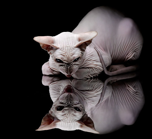 爱尔兰男队重建期展现强劲实力,爱尔兰男子组合乐队