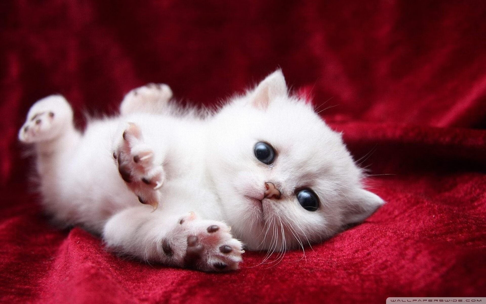 篮网替补控卫赛后接受长时间拉伸调整,篮网替补阵容