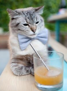 绿色环保足球场不断扩展,推动城市绿色低碳目标实现,足球场绿色颗粒是什么