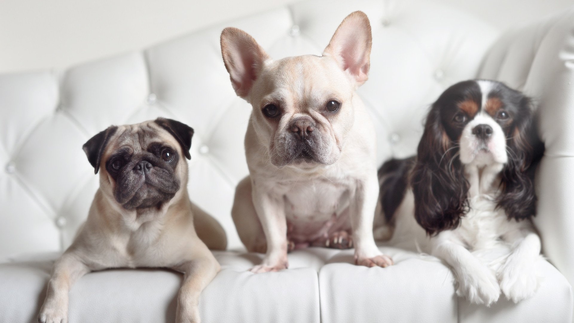 英超焦点战:曼联逆转击败利物浦