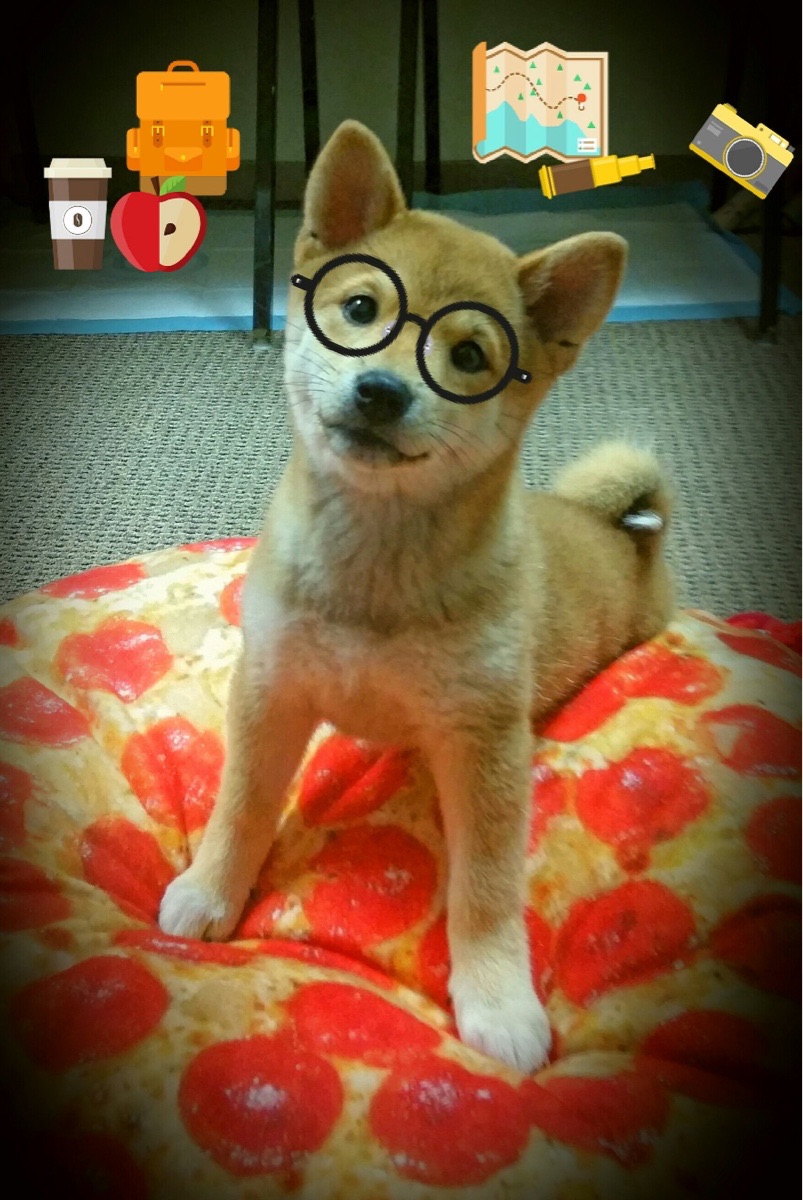 中国足球国家队队员长期跟踪数据对培养体系的反馈，中国足球规划球员水平