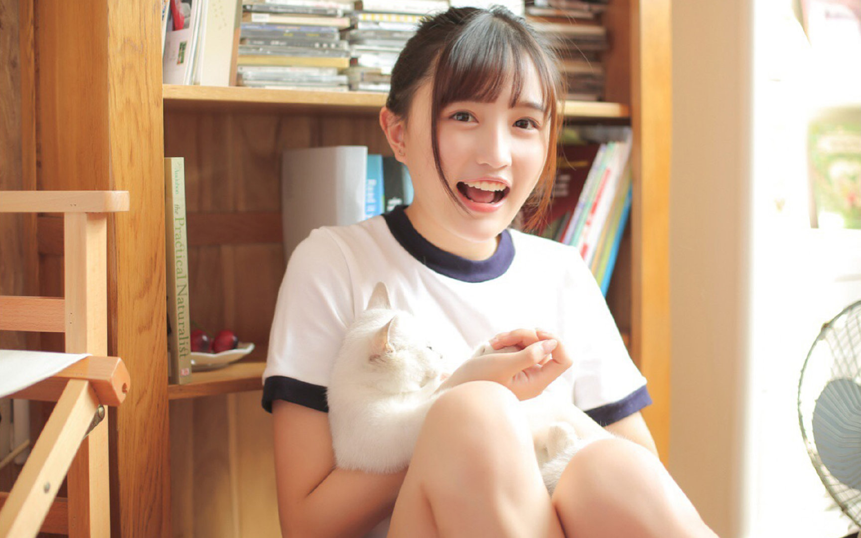 中国足球是否设立中长期足球教育发展规划,中国足球发展规划 体育总局